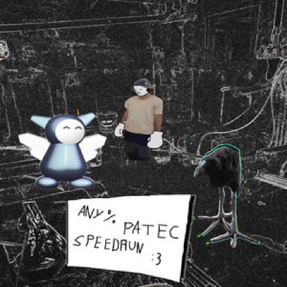 any % patec speedrun cover